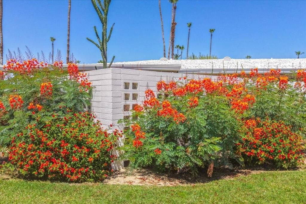Image 34 of property listing at 2250 S Calle Palo Fierro 6, Palm Springs, CA 92264