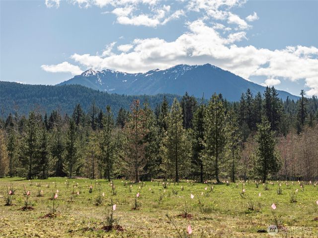 4890 Lost Mountain Road, Sequim, WA 98382