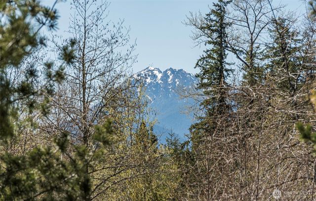 4890 Lost Mountain Road, Sequim, WA 98382