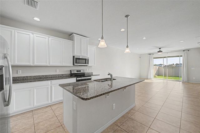 10331 HERON HIDEAWAY LOOP, Land O Lakes, FL 34638