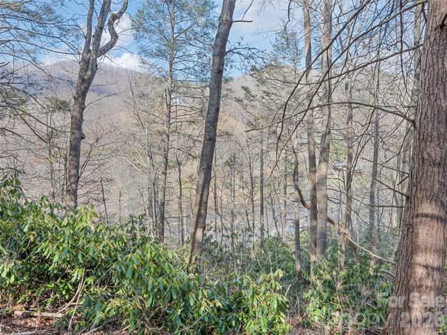 0 Harleys Cove Lot 20, Waynesville, NC 28785