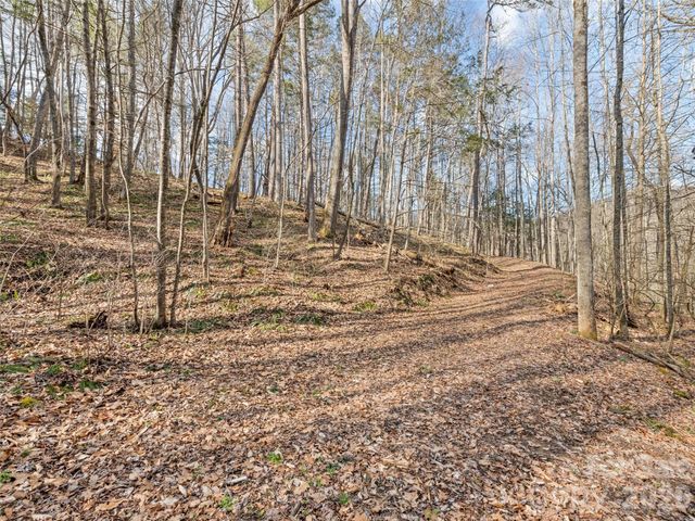 0 Harleys Cove Lot 20, Waynesville, NC 28785