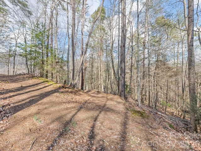 0 Harleys Cove Lot 20, Waynesville, NC 28785