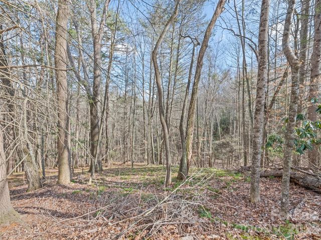 0 Harleys Cove Lot 20, Waynesville, NC 28785