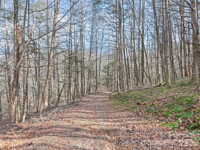 0 Harleys Cove Lot 20, Waynesville, NC 28785