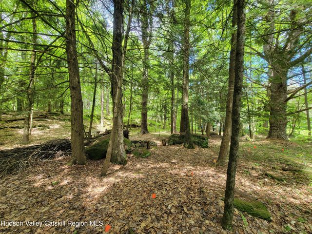 658 Briggs Highway, Ellenville, NY 12428
