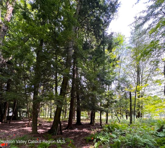 658 Briggs Highway, Ellenville, NY 12428