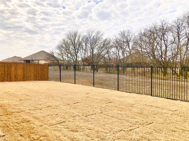 1117 Tiana Street, Anna, TX 75409