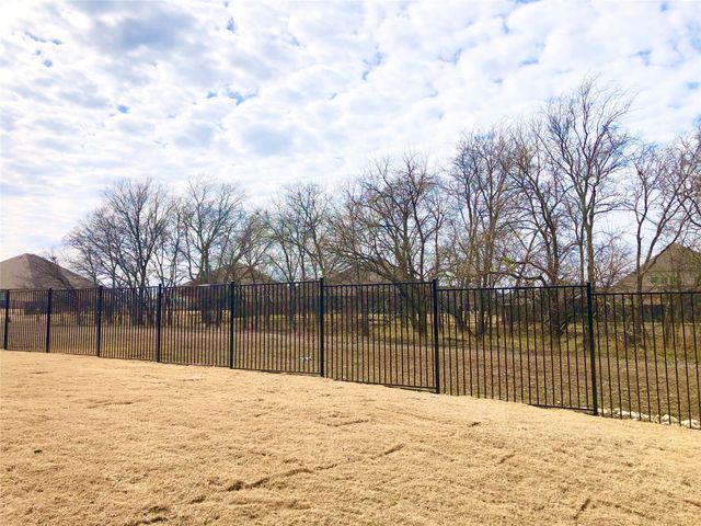 1117 Tiana Street, Anna, TX 75409