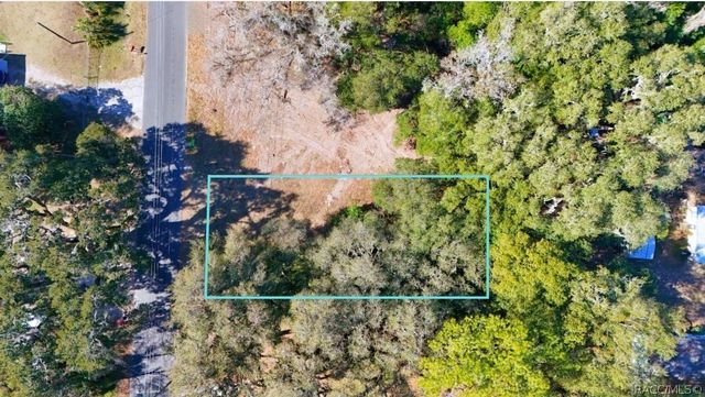 1699 W Henry Blair Lane, Dunnellon, FL 34434