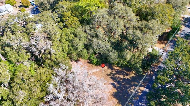 1699 W Henry Blair Lane, Dunnellon, FL 34434