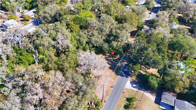 1699 W Henry Blair Lane, Dunnellon, FL 34434