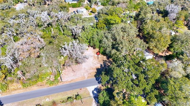 1699 W Henry Blair Lane, Dunnellon, FL 34434