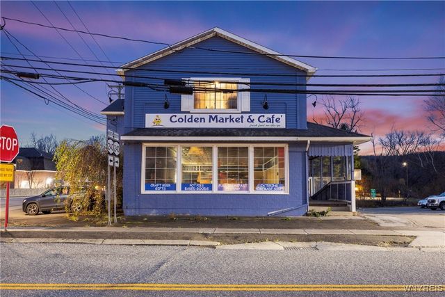 8796 State Road, Colden, NY 14033