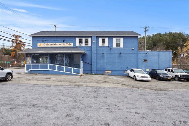 8796 State Road, Colden, NY 14033