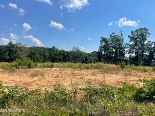 Lot 20 Laura Boling Loop Rd, Strawberry Plains, TN 37871