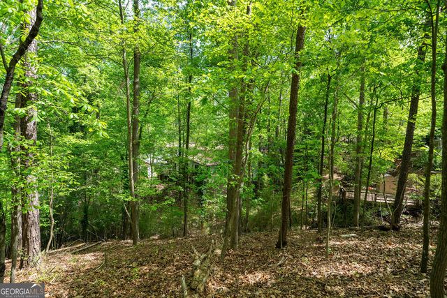 7400 Island Mill Road, Acworth, GA 30102