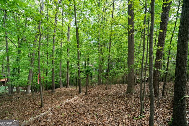 7400 Island Mill Road, Acworth, GA 30102