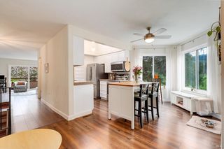 3098 Yulupa Ave, Santa Rosa, CA 95405