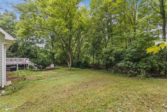 105 Beech Lane Lane, Roan Mountain, TN 37687