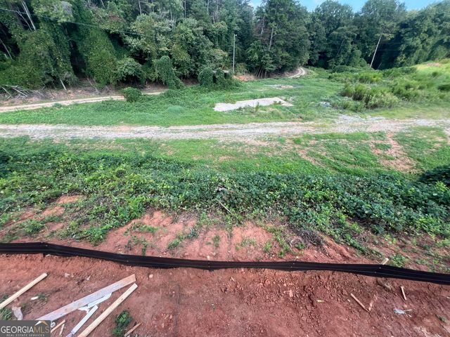 432 Nancy Town Road, Mount Airy, GA 30563