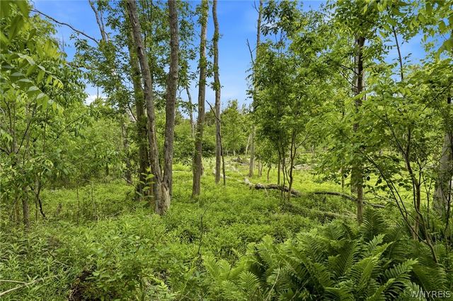 280 Bullis Road, West Seneca, NY 14224