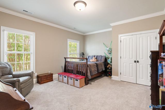 157 Intracoastal Drive, Madison, AL 35758