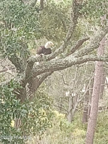 1919 Waterway Street SW, Supply, NC 28462