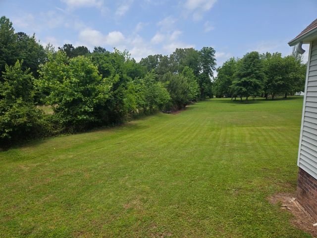 121 Walker Rd, Springville, TN 38256