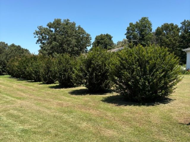 2632 Lacy Lane, Harrison, AR 72601