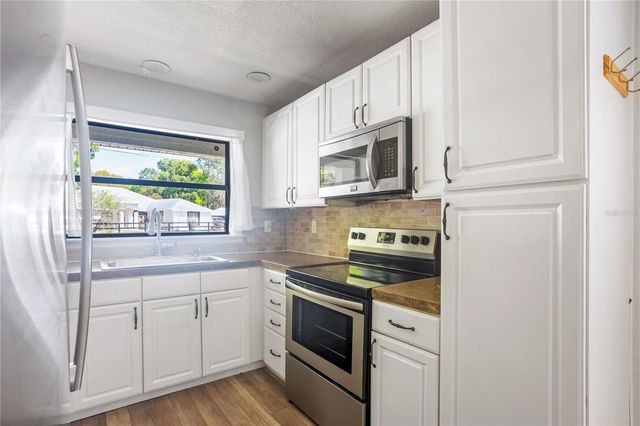 26312 SLEEPY HOLLOW STREET, Sorrento, FL 32776