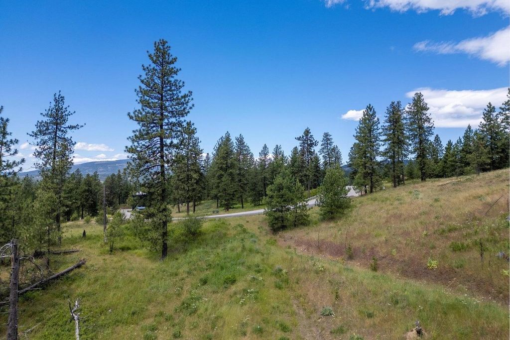 1612 Palmer Loop, Chewelah, WA 99109 photo 12