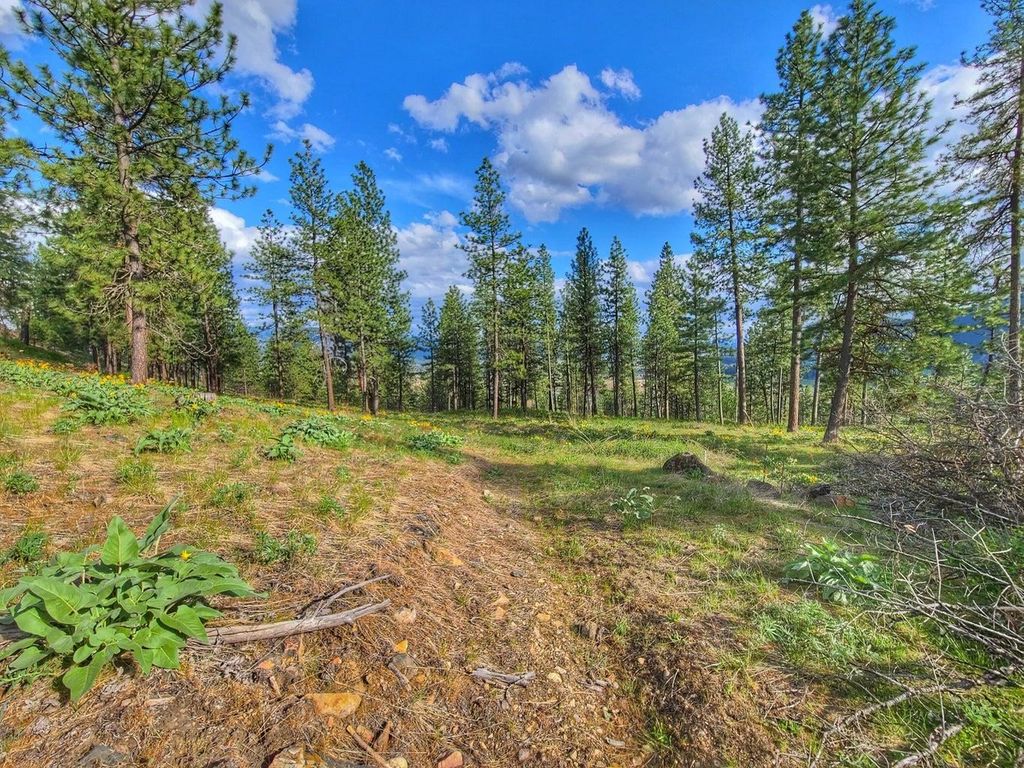 1612 Palmer Loop, Chewelah, WA 99109 photo 14