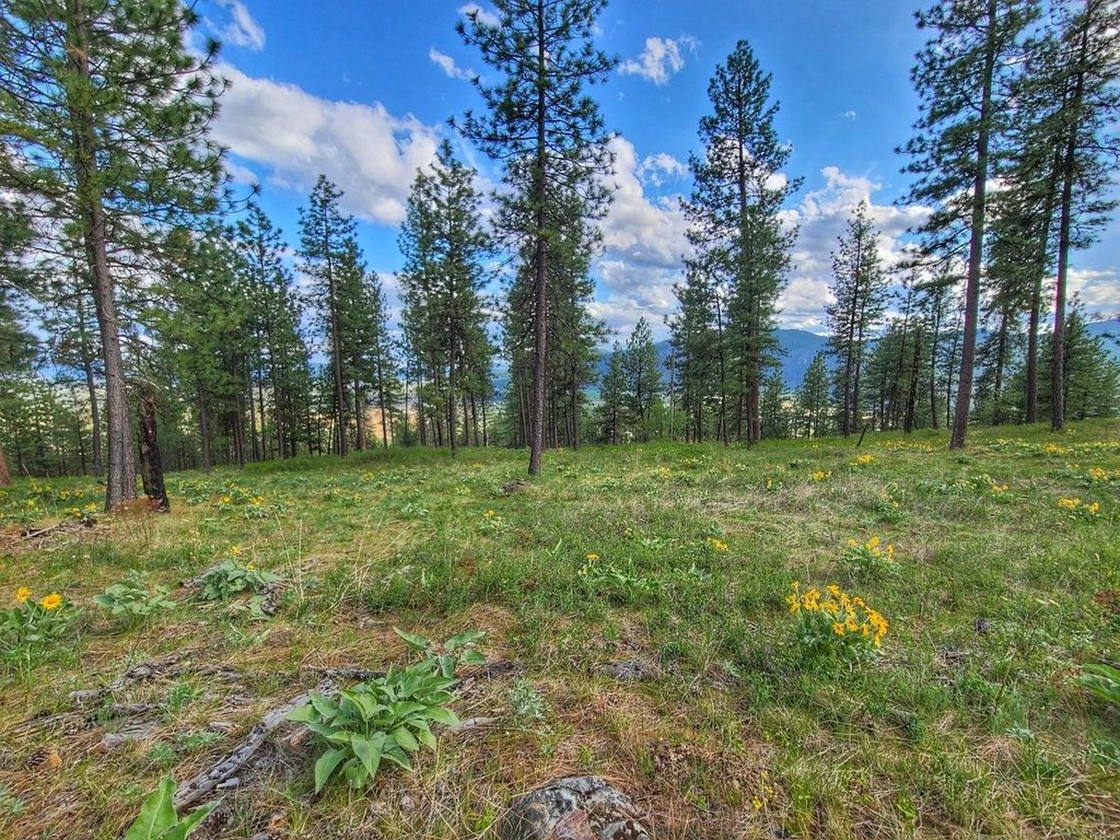 1612 Palmer Loop, Chewelah, WA 99109 photo 15