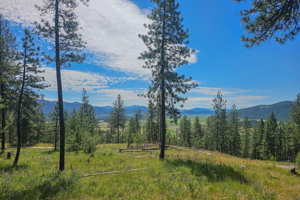 1612 Palmer Loop, Chewelah, WA 99109 photo 18