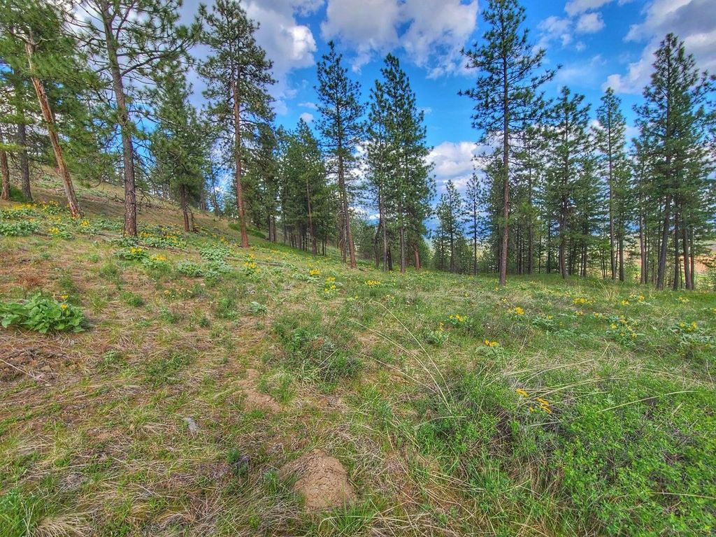 1612 Palmer Loop, Chewelah, WA 99109 photo 3