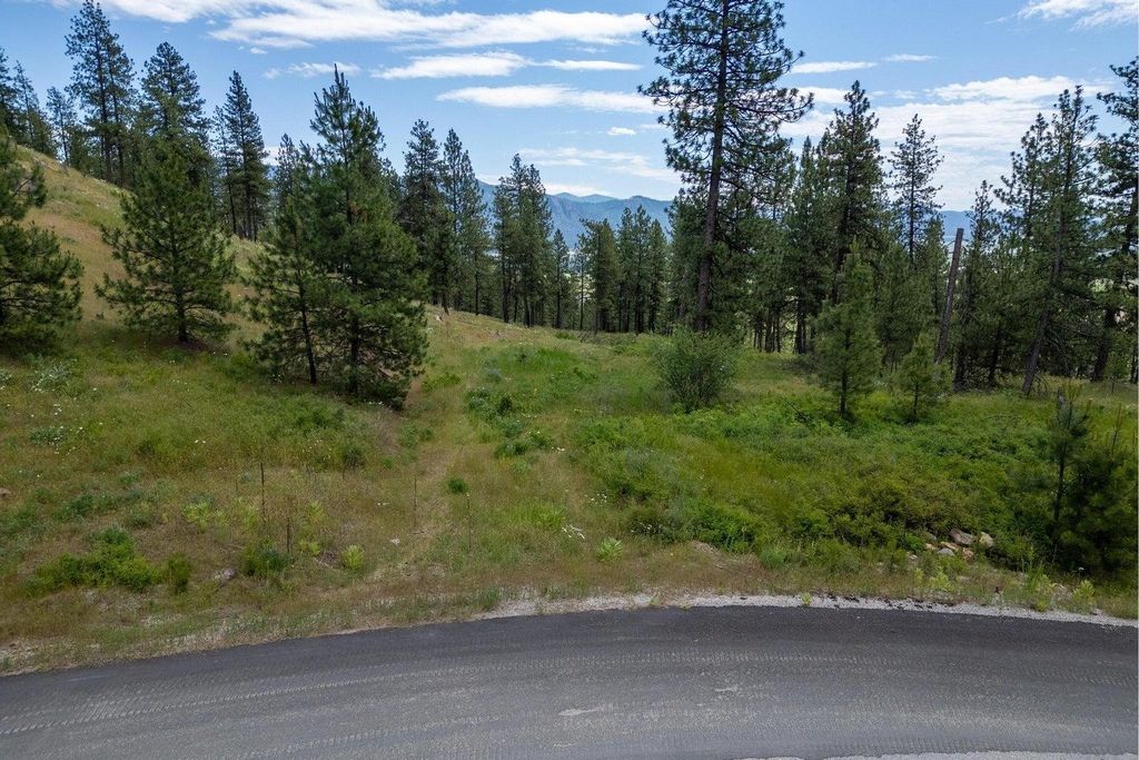 1612 Palmer Loop, Chewelah, WA 99109 photo 9