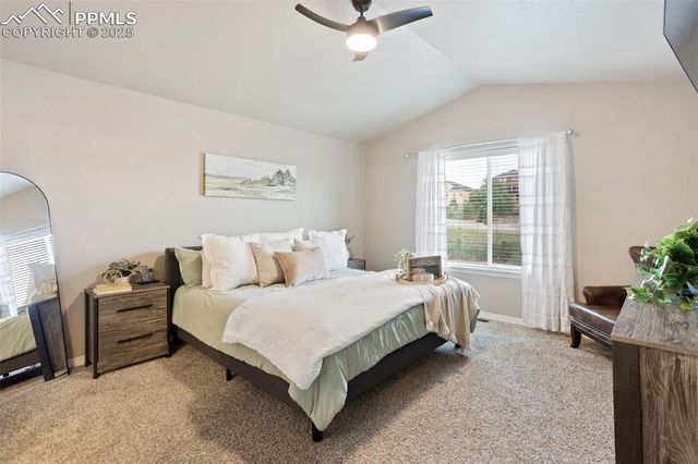 1216 Night Blue Circle, Monument, CO 80132