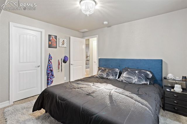 1216 Night Blue Circle, Monument, CO 80132