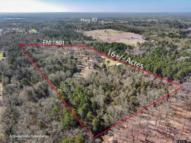 2833 FM 1801, Mineola, TX 75773