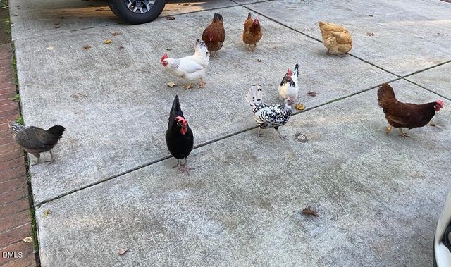 107 Larkwood Lane, Cary, NC 27518