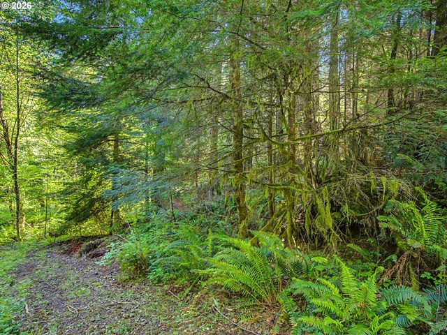 51660 E TERRA FERN Dr, Sandy, OR 97055