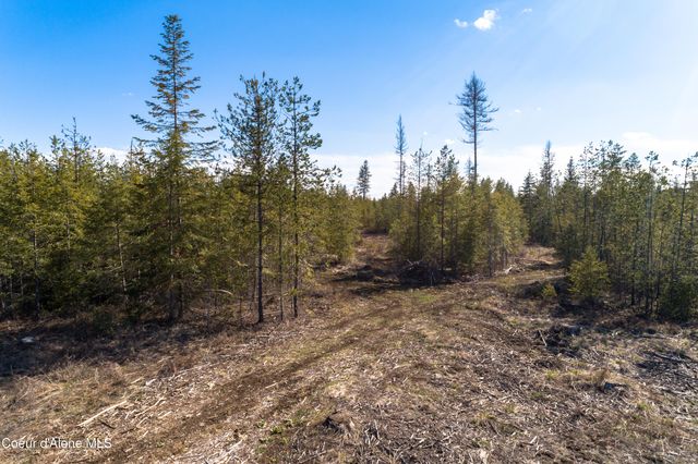 NNA 10acs Sky Meadow, Stone Pine Rd, Priest River, ID 83856