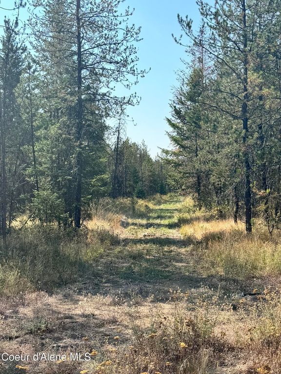 NNA 10acs Sky Meadow, Stone Pine Rd, Priest River, ID 83856