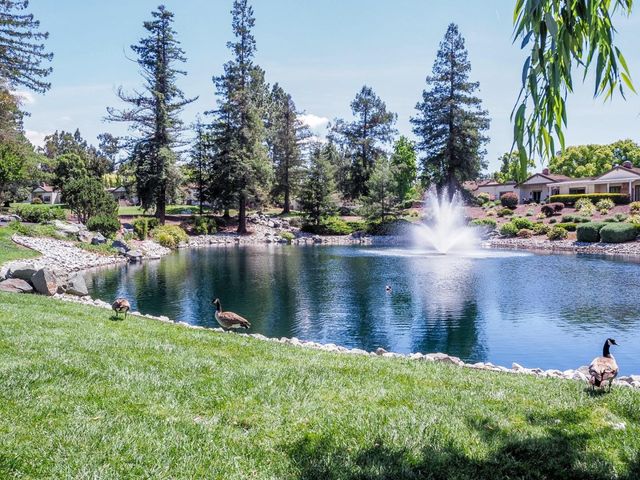 7774 Beltane Drive, San Jose, CA 95135