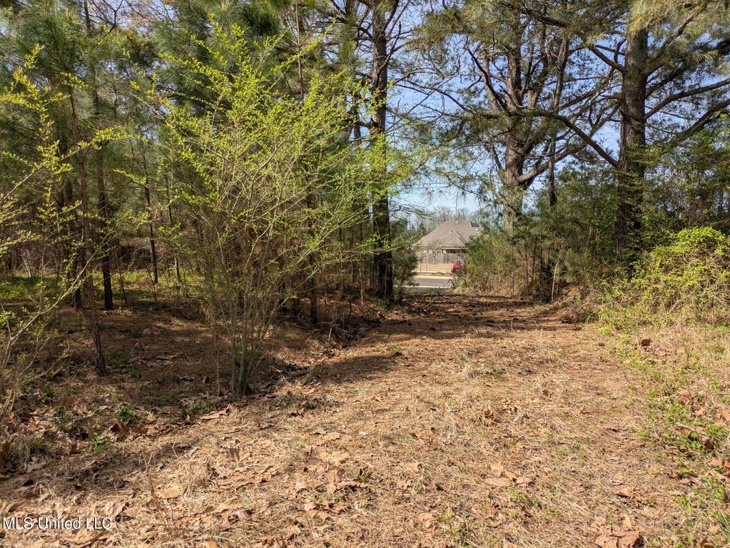3774 Getwell Road, Southaven, MS 38672 — photo 3
