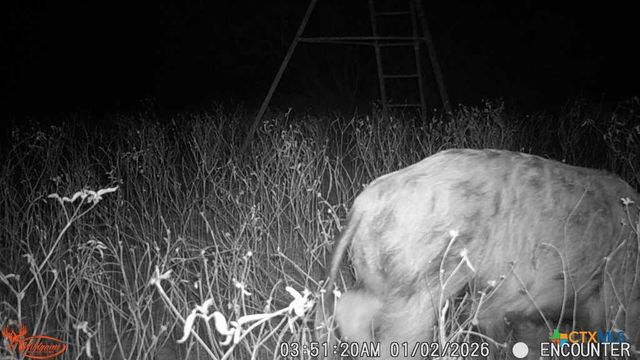 3638 Fm 2579, Floresville, TX 78114