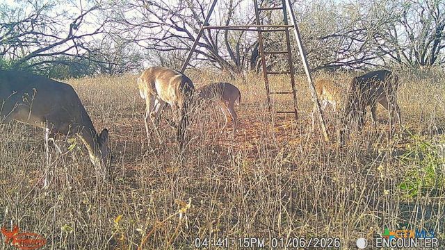 3638 Fm 2579, Floresville, TX 78114