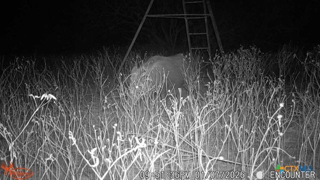 3638 Fm 2579, Floresville, TX 78114