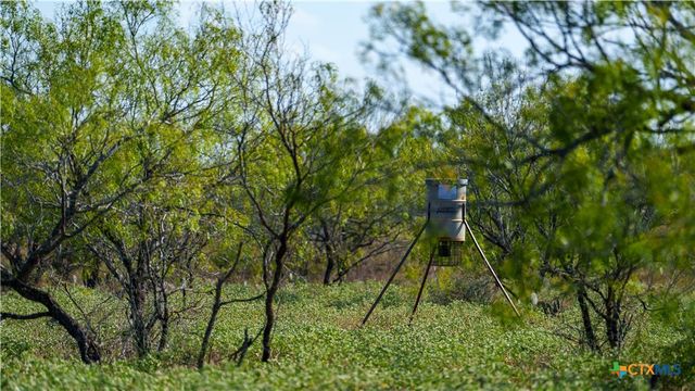 3638 Fm 2579, Floresville, TX 78114